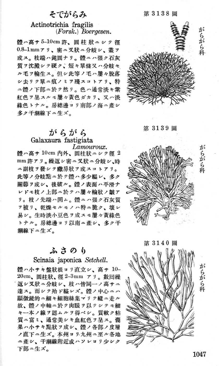 植物図鑑