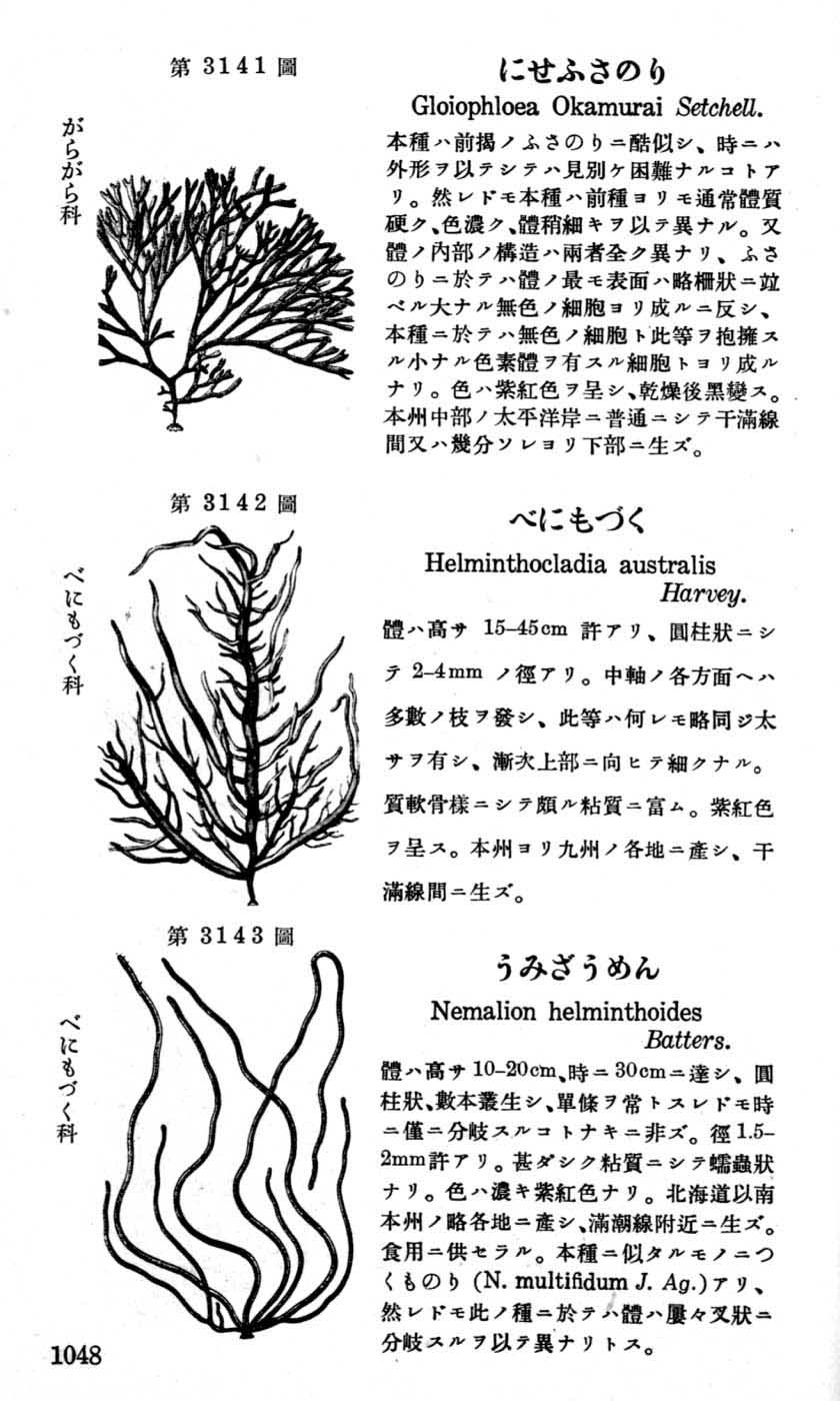 植物図鑑