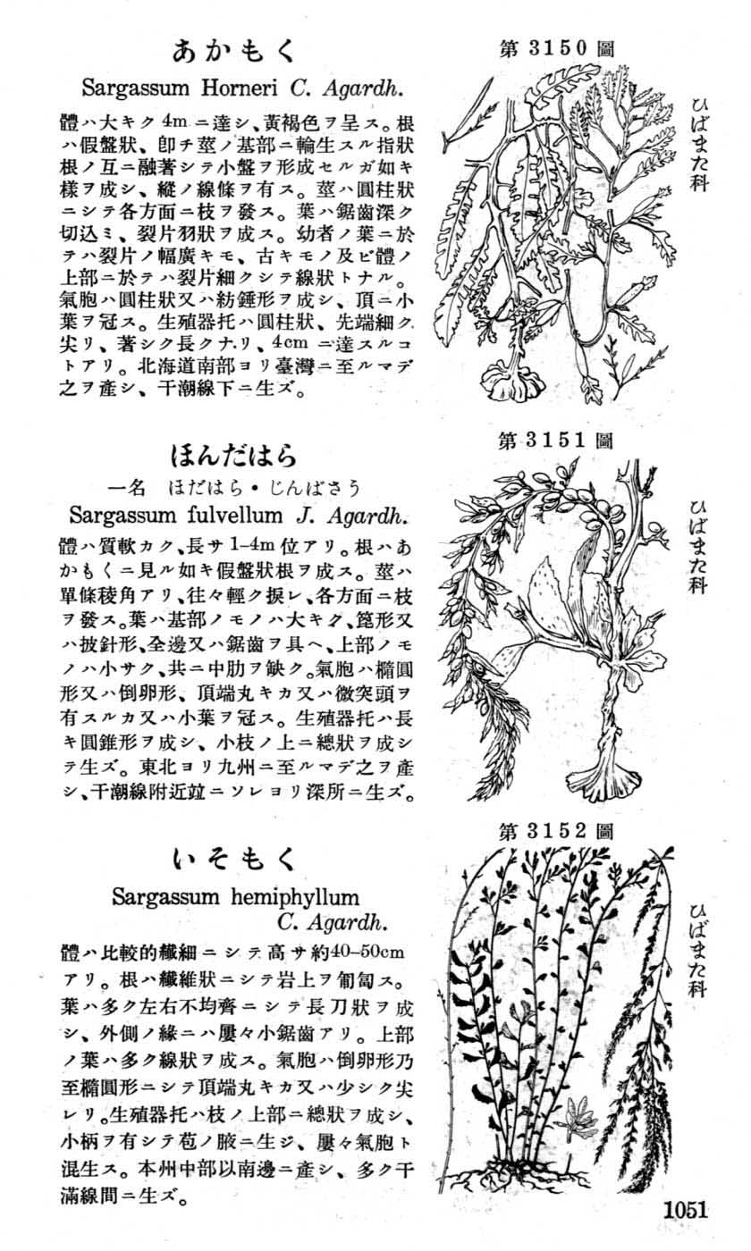 植物図鑑