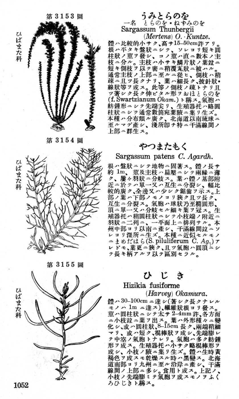 植物図鑑