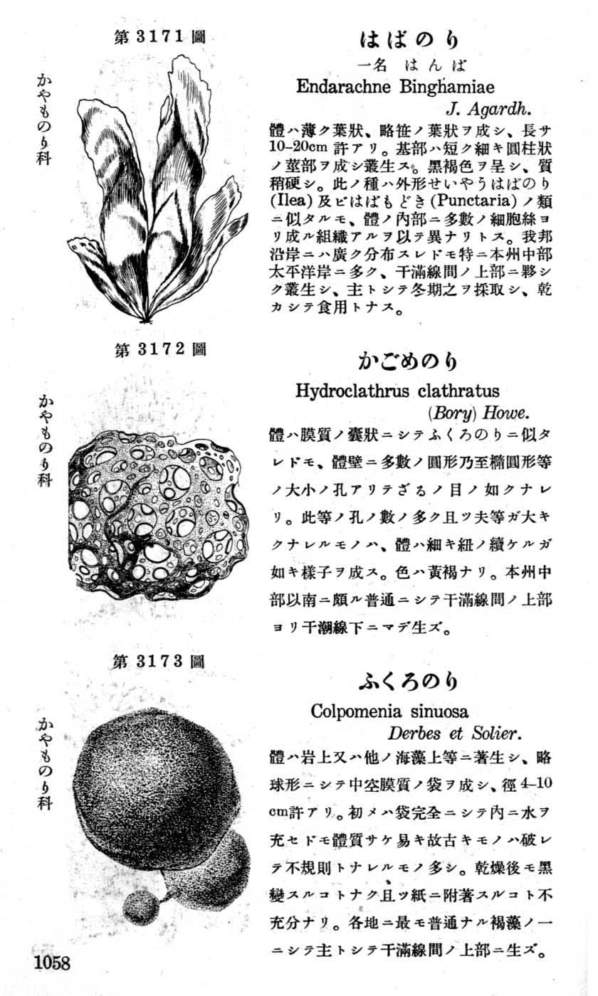 植物図鑑