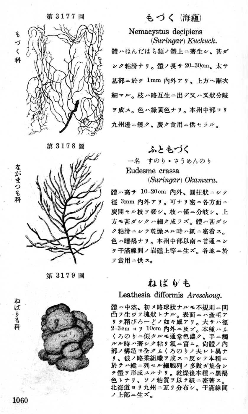 植物図鑑