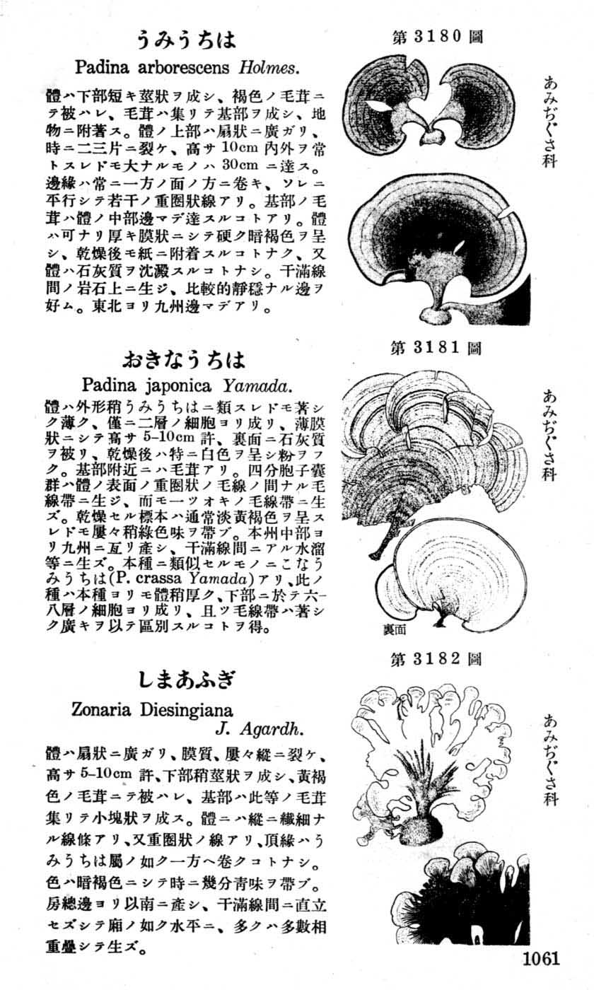 植物図鑑