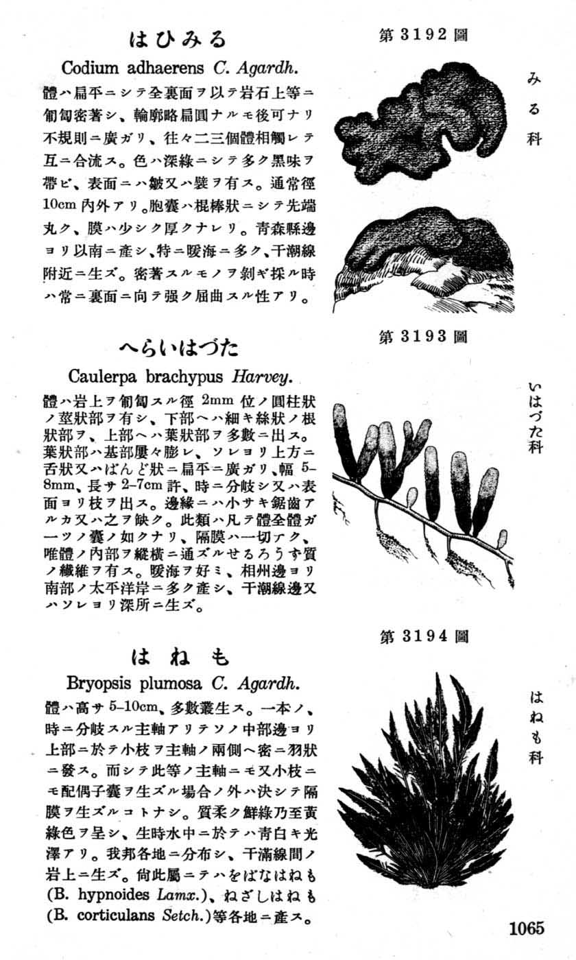 植物図鑑