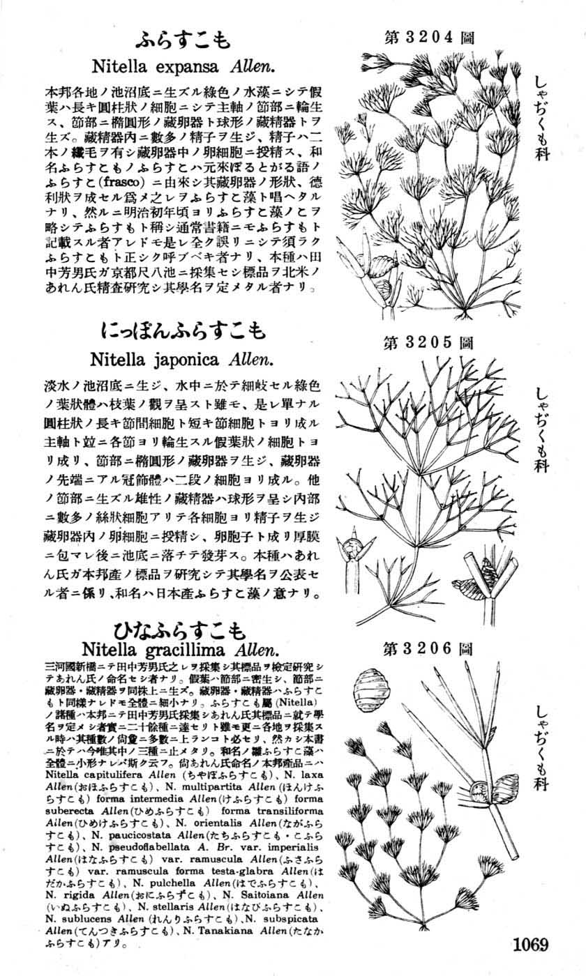 植物図鑑