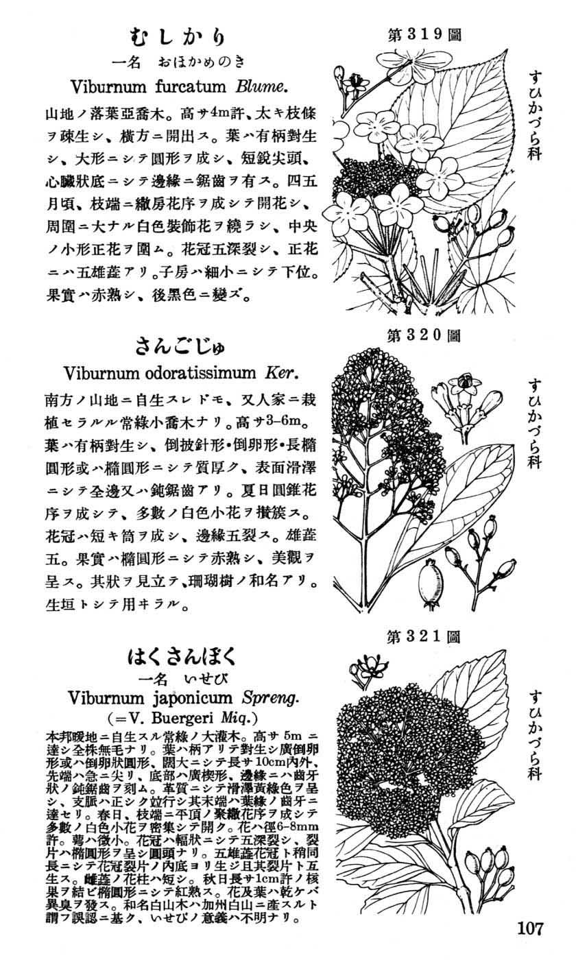 植物図鑑