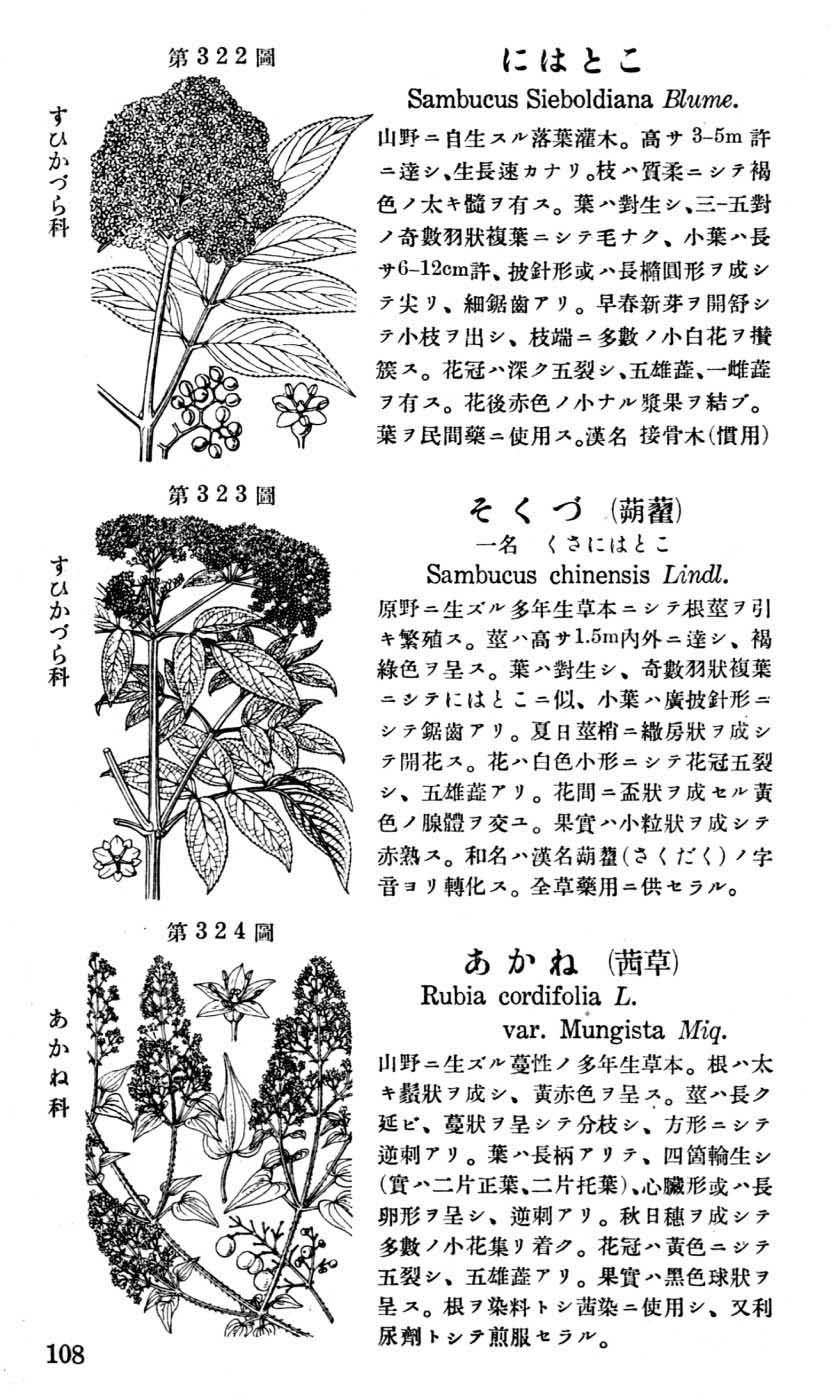 植物図鑑