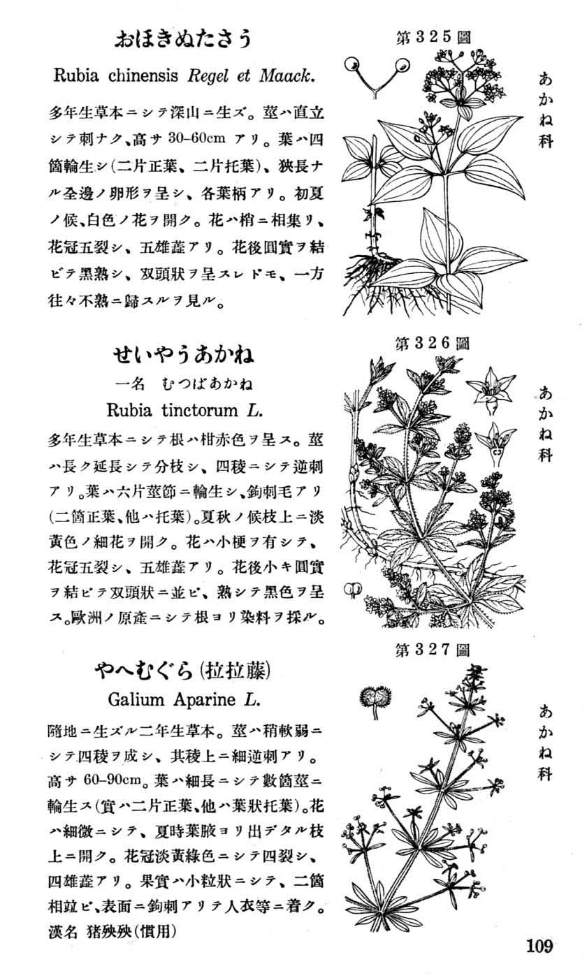 植物図鑑