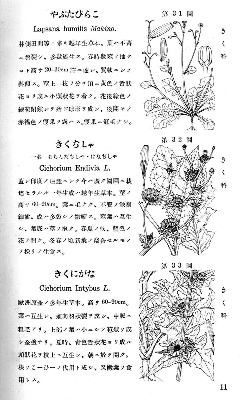 植物図鑑