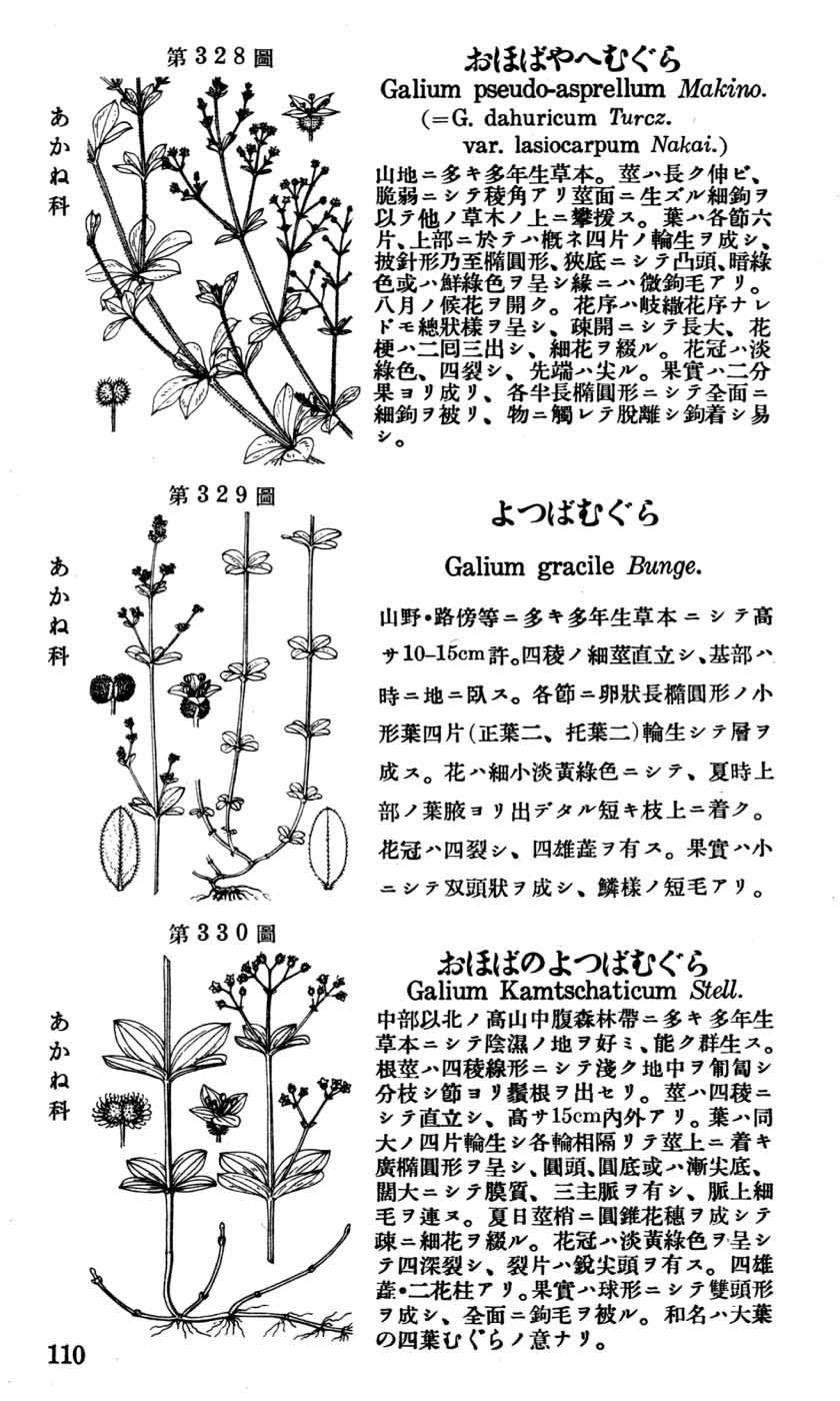 植物図鑑