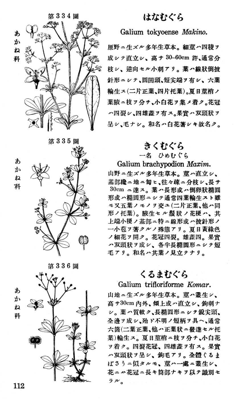 植物図鑑