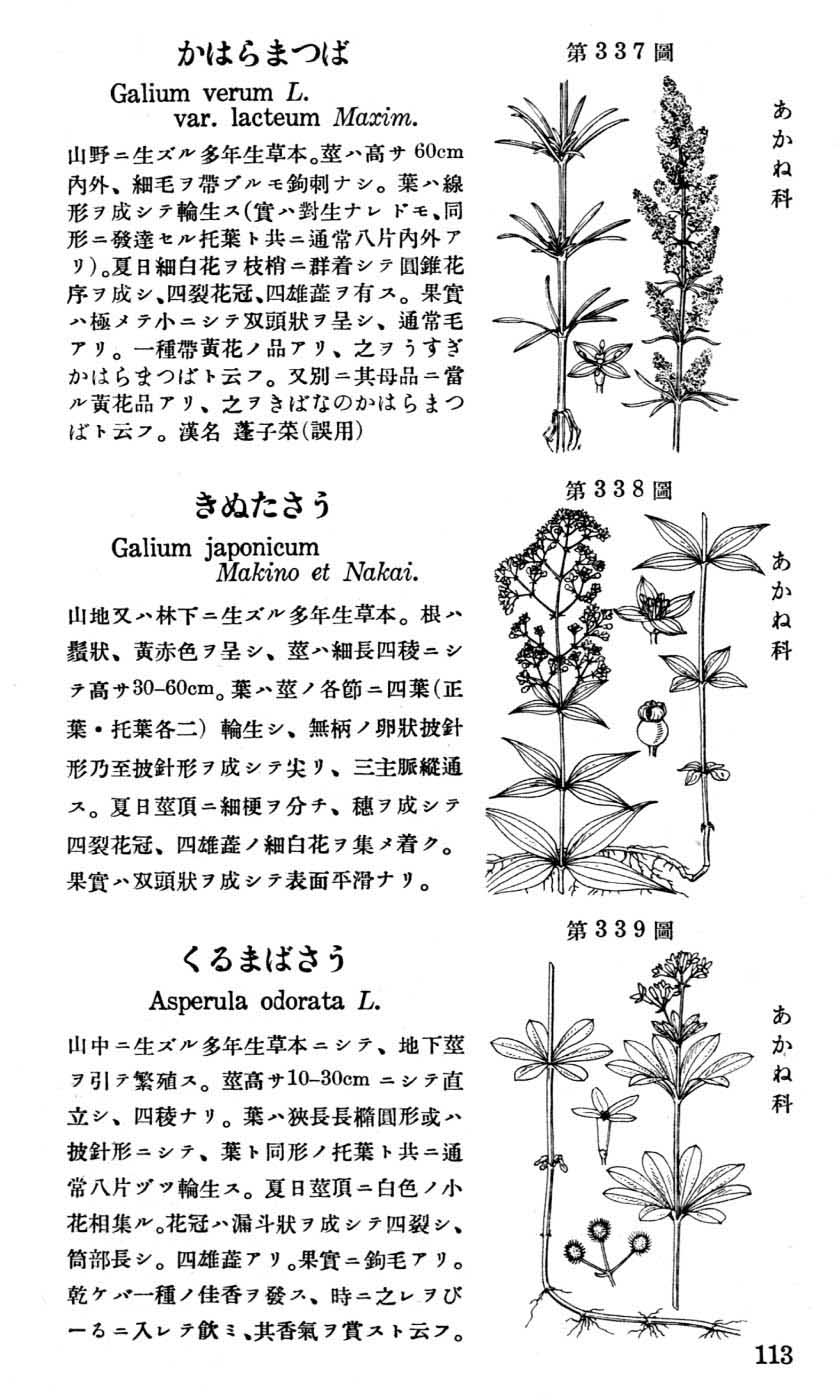 植物図鑑