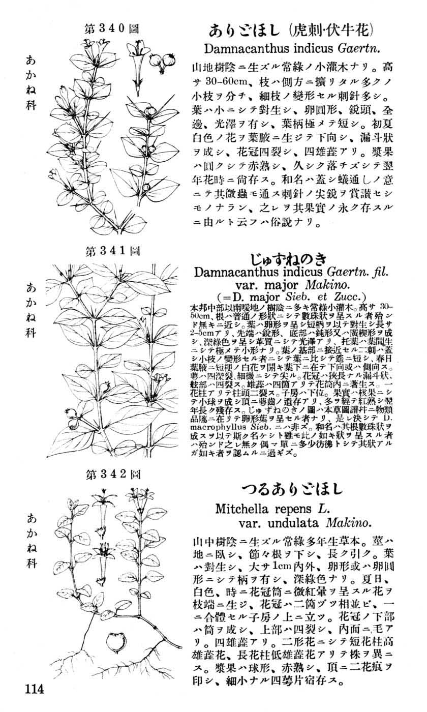 植物図鑑