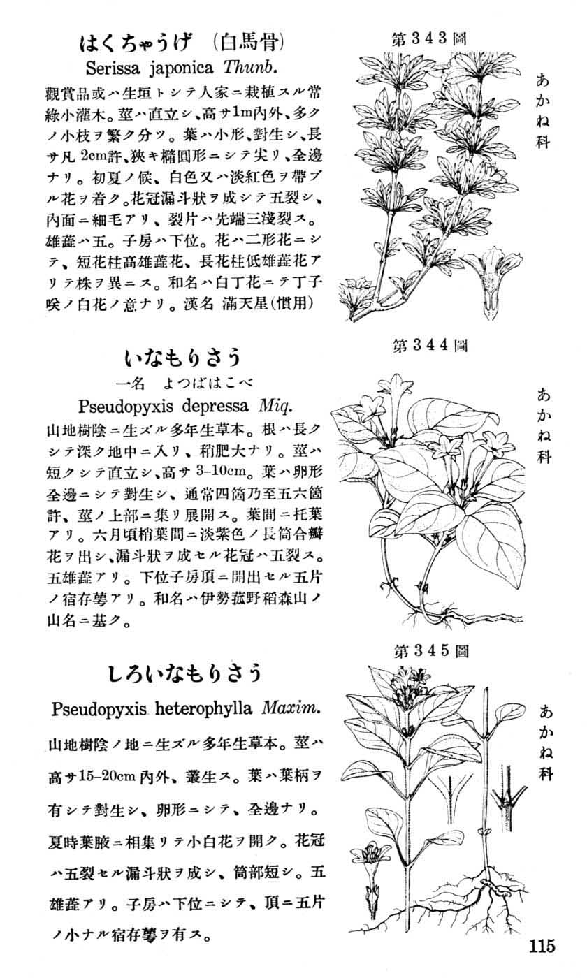 植物図鑑