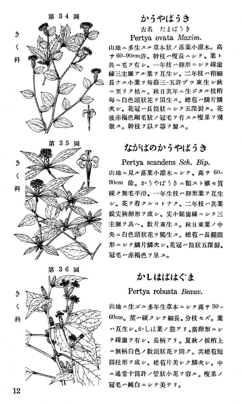 植物図鑑