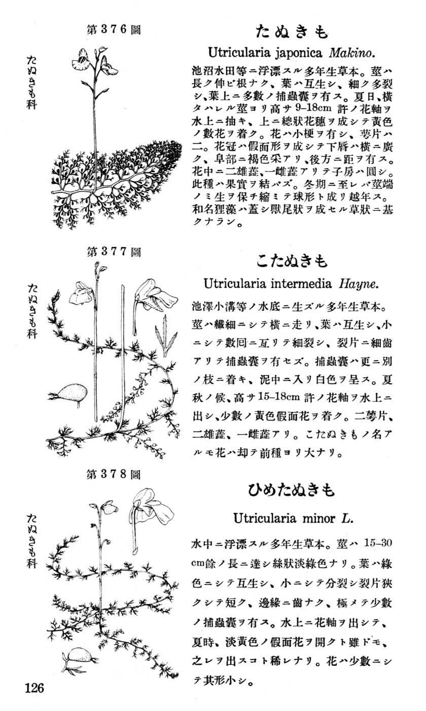 植物図鑑