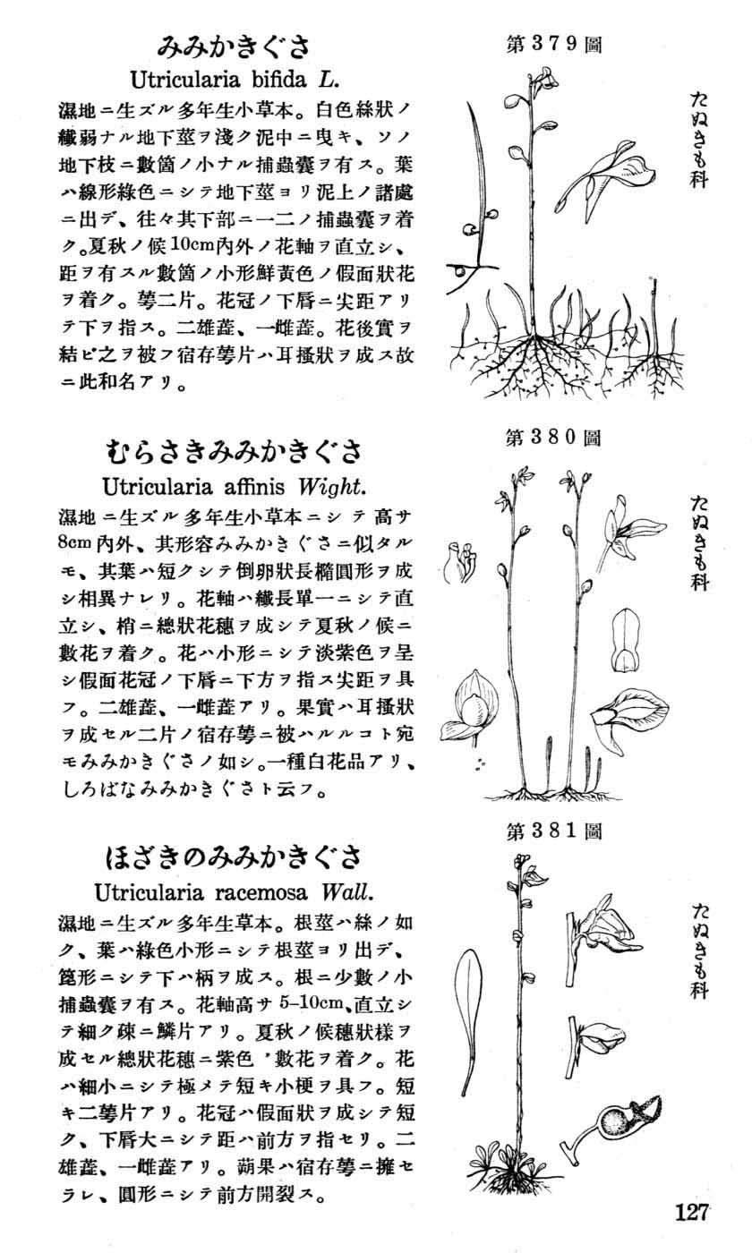 植物図鑑