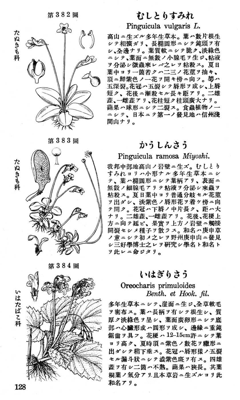 植物図鑑