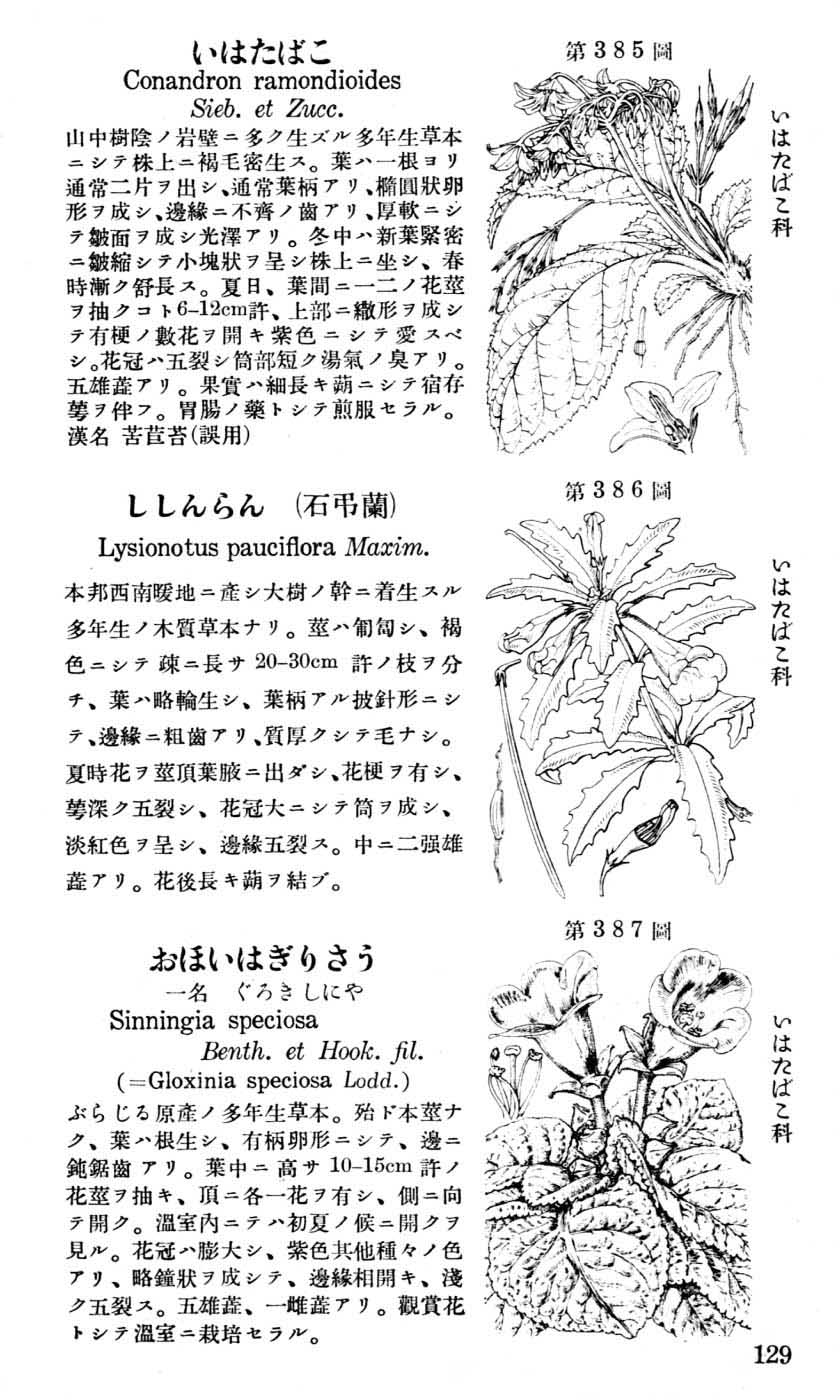 植物図鑑