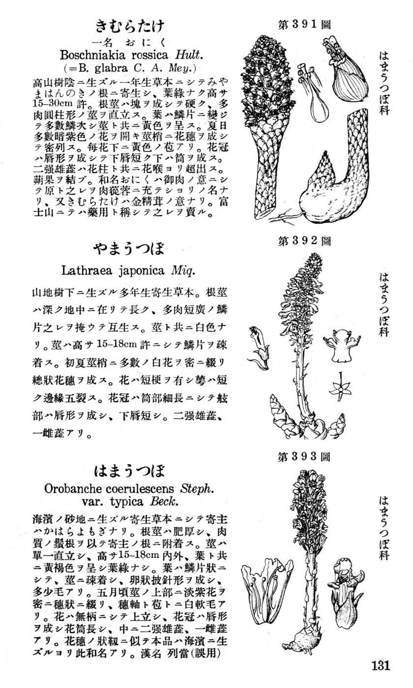 植物図鑑