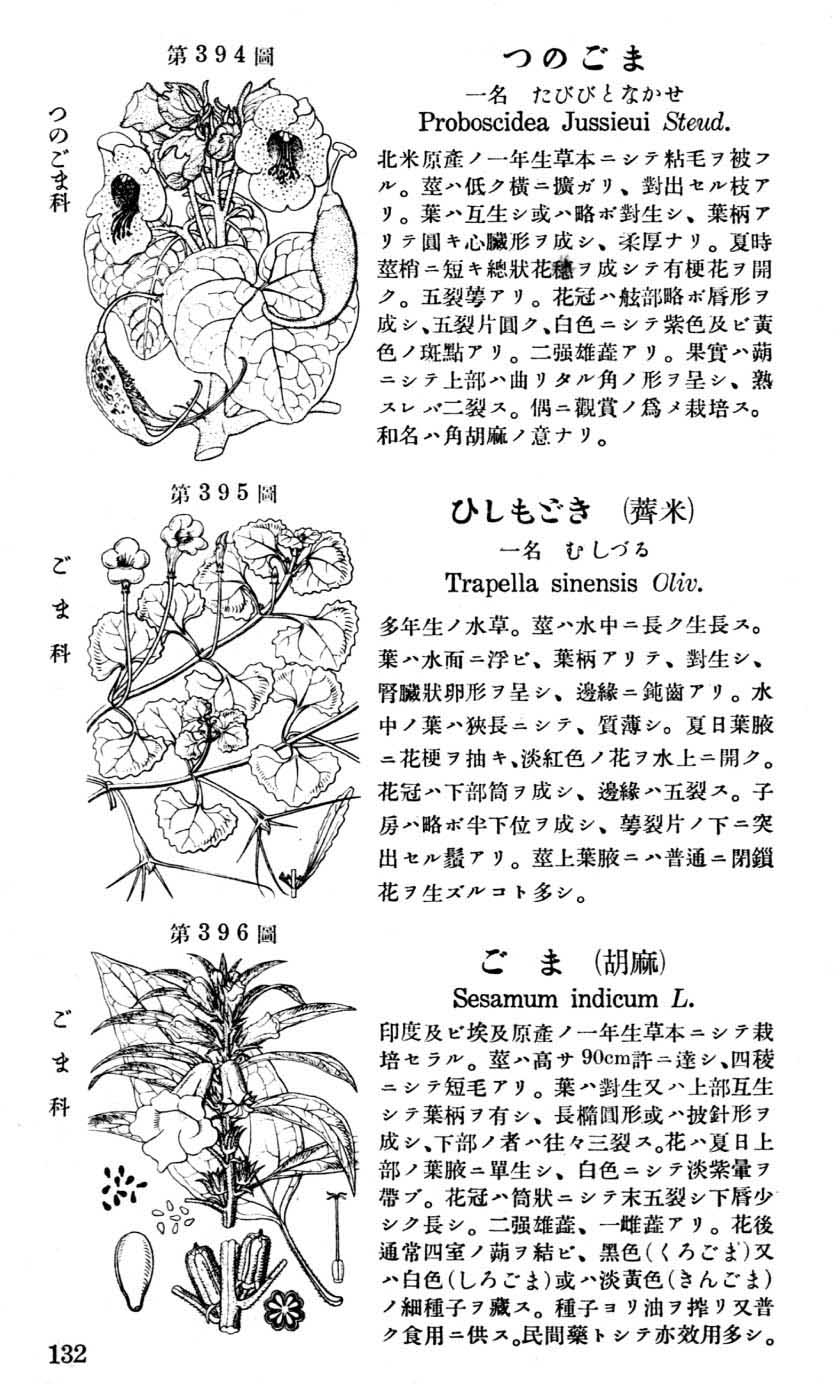 植物図鑑