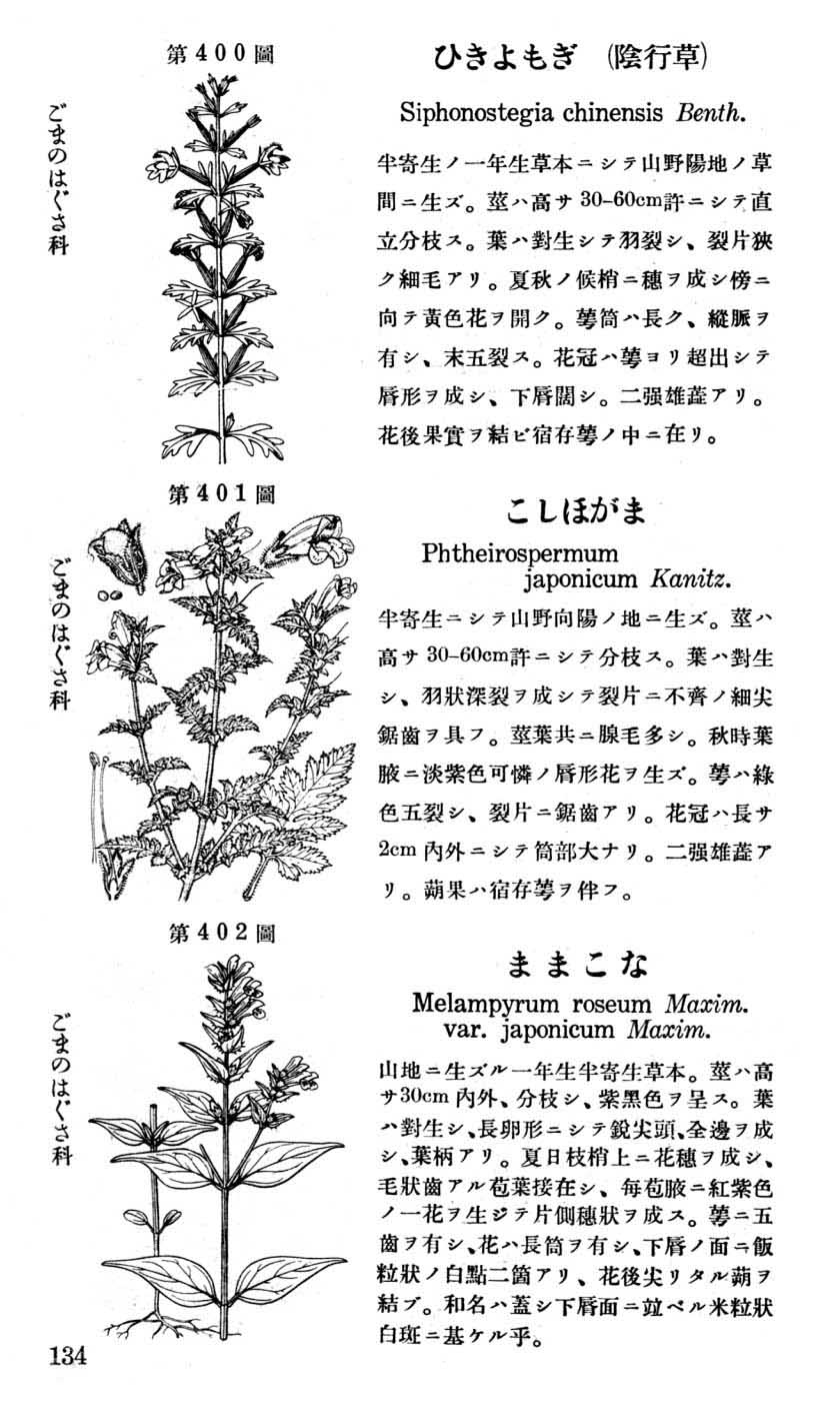 植物図鑑