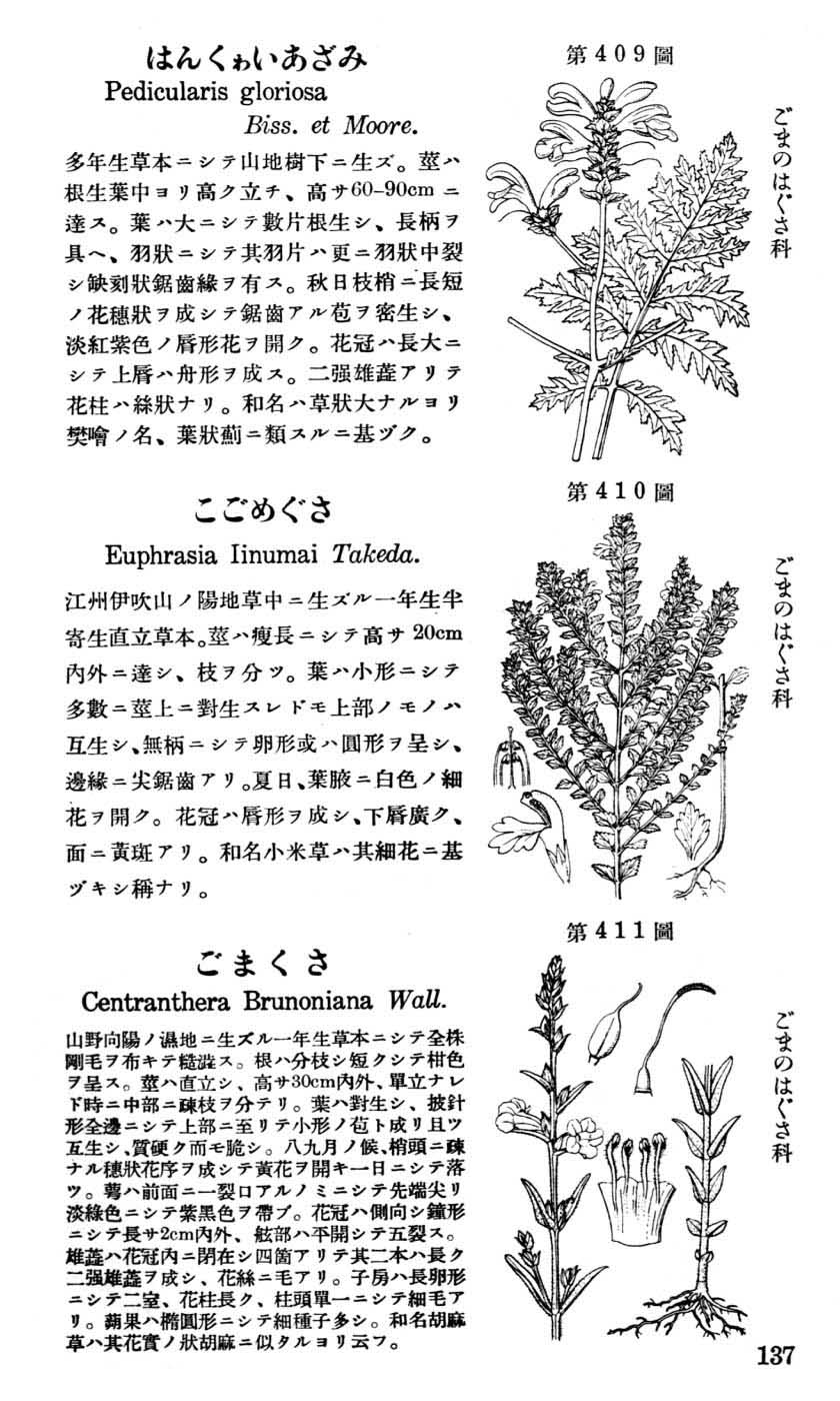 植物図鑑