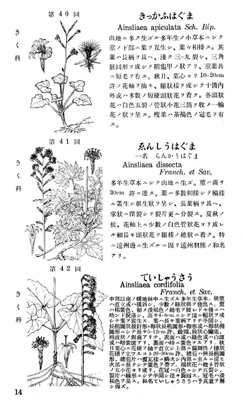 植物図鑑