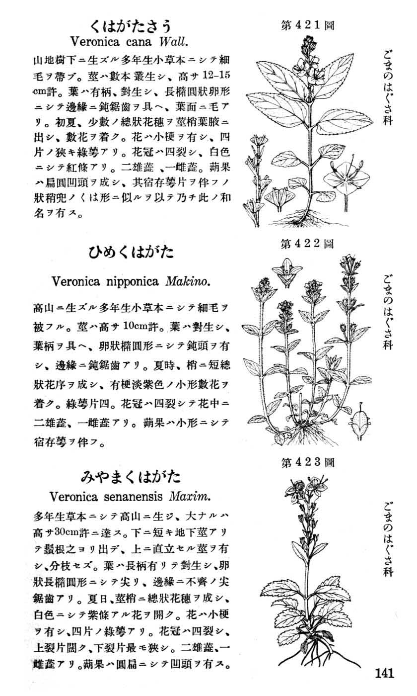 植物図鑑