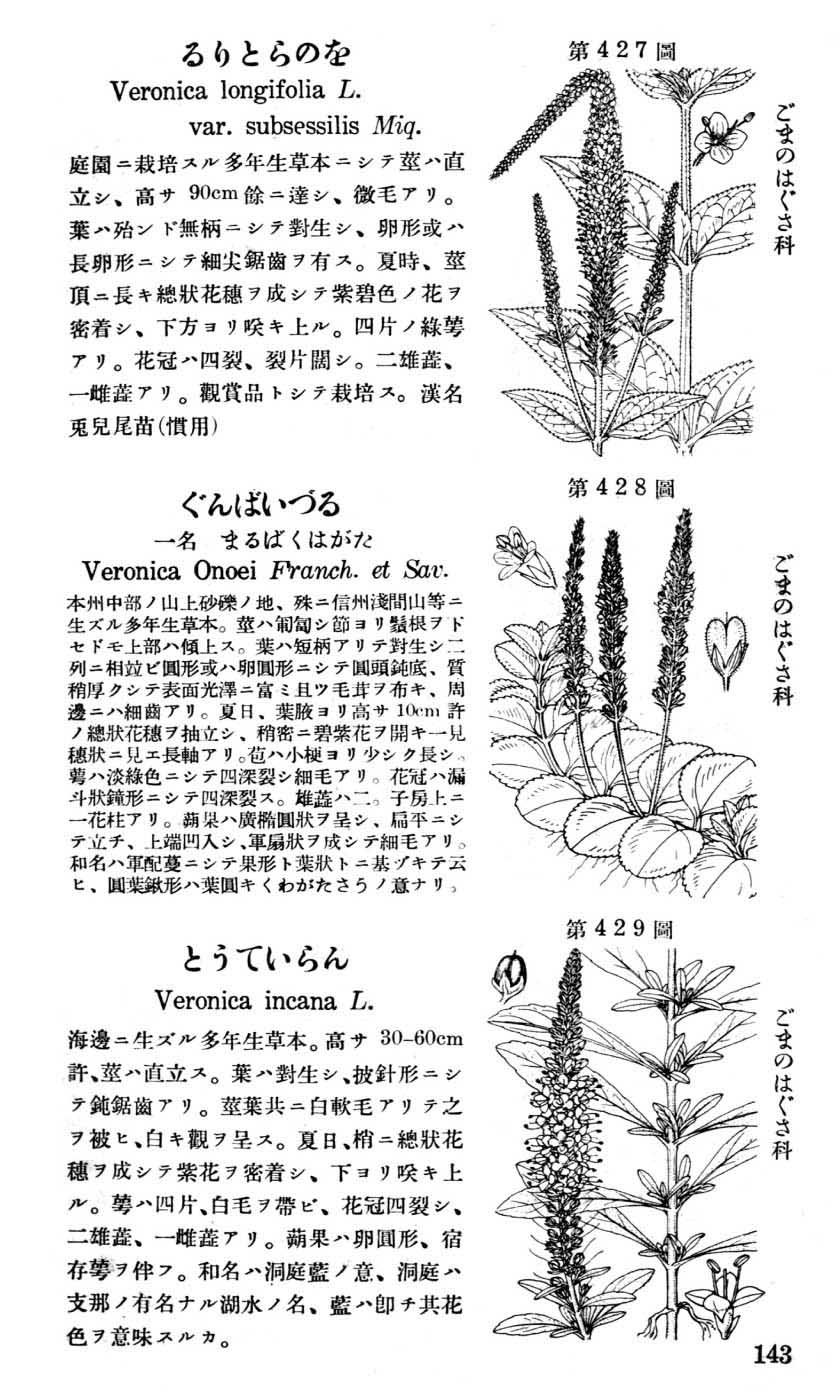 植物図鑑