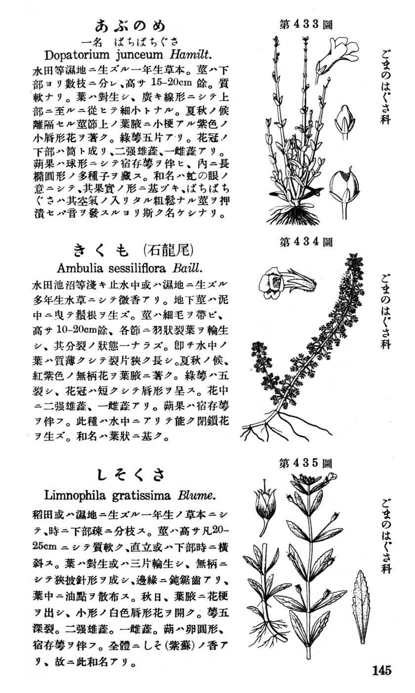 植物図鑑