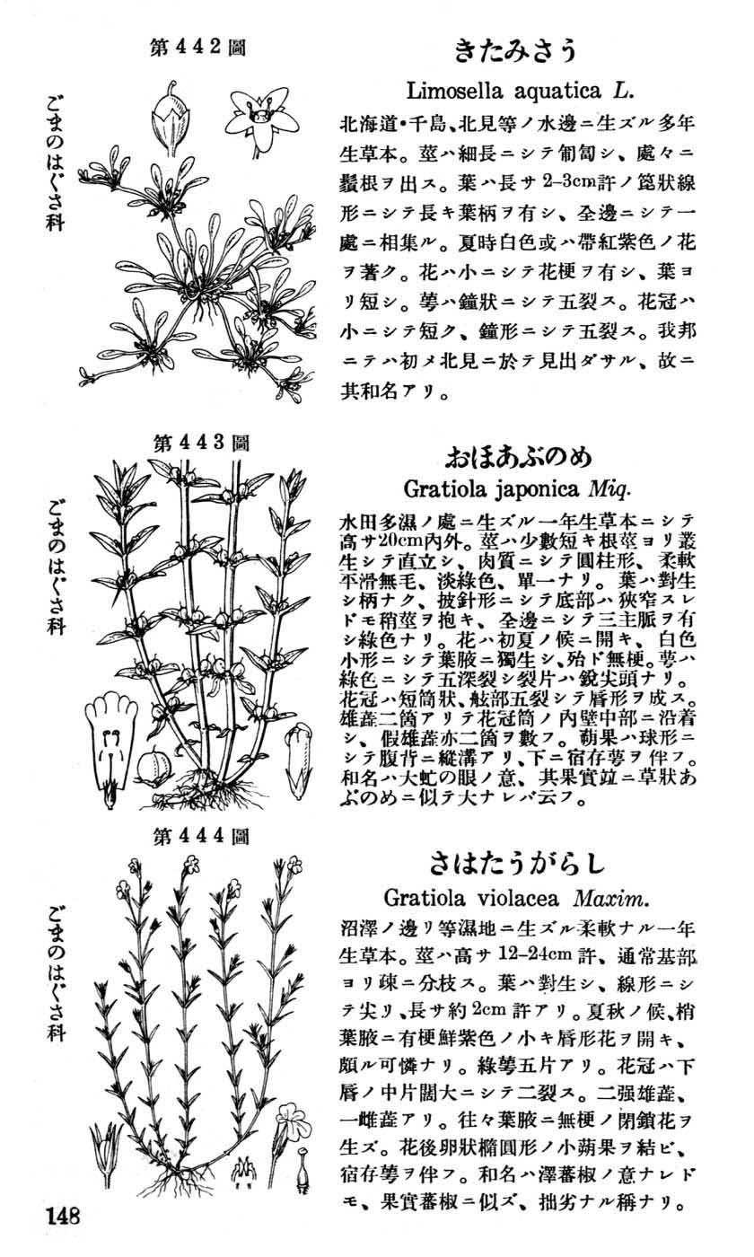 植物図鑑