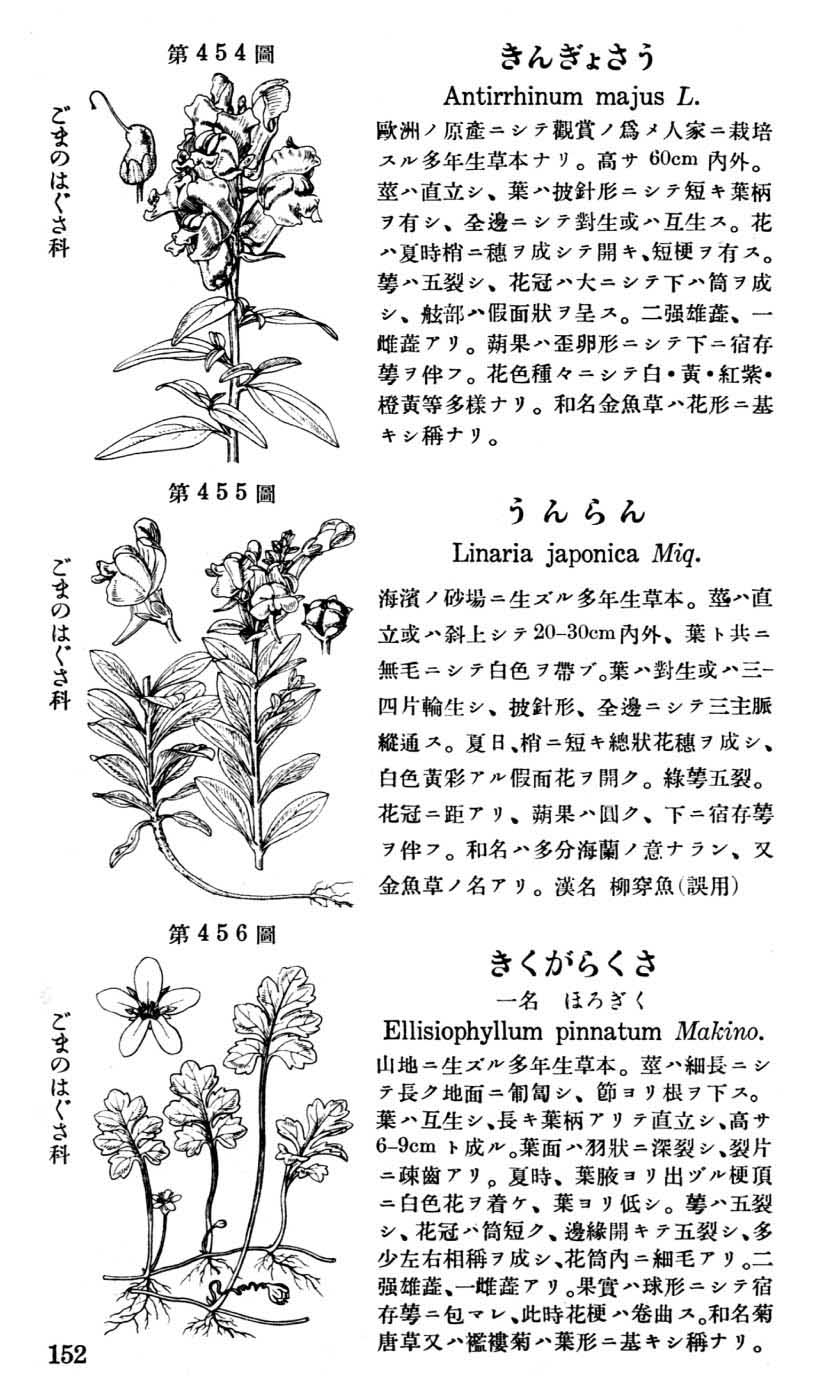 植物図鑑