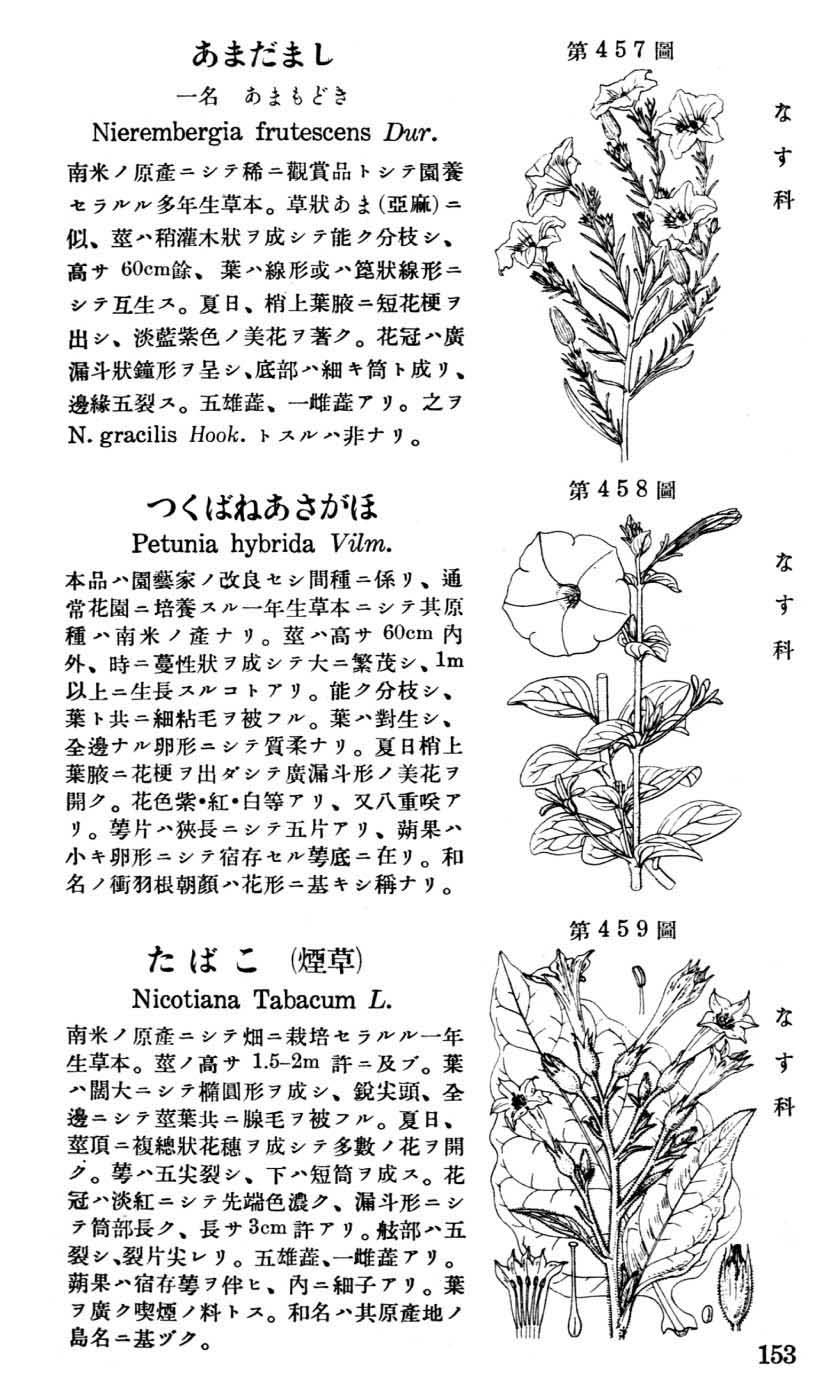 植物図鑑