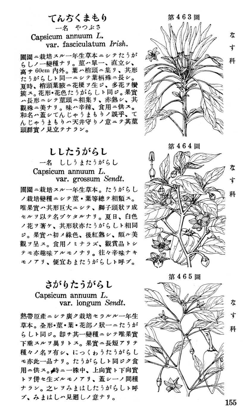 植物図鑑