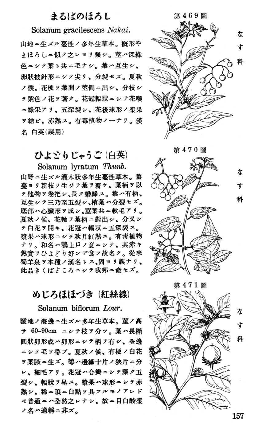 植物図鑑