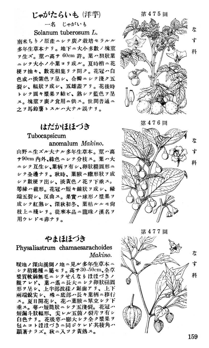 植物図鑑