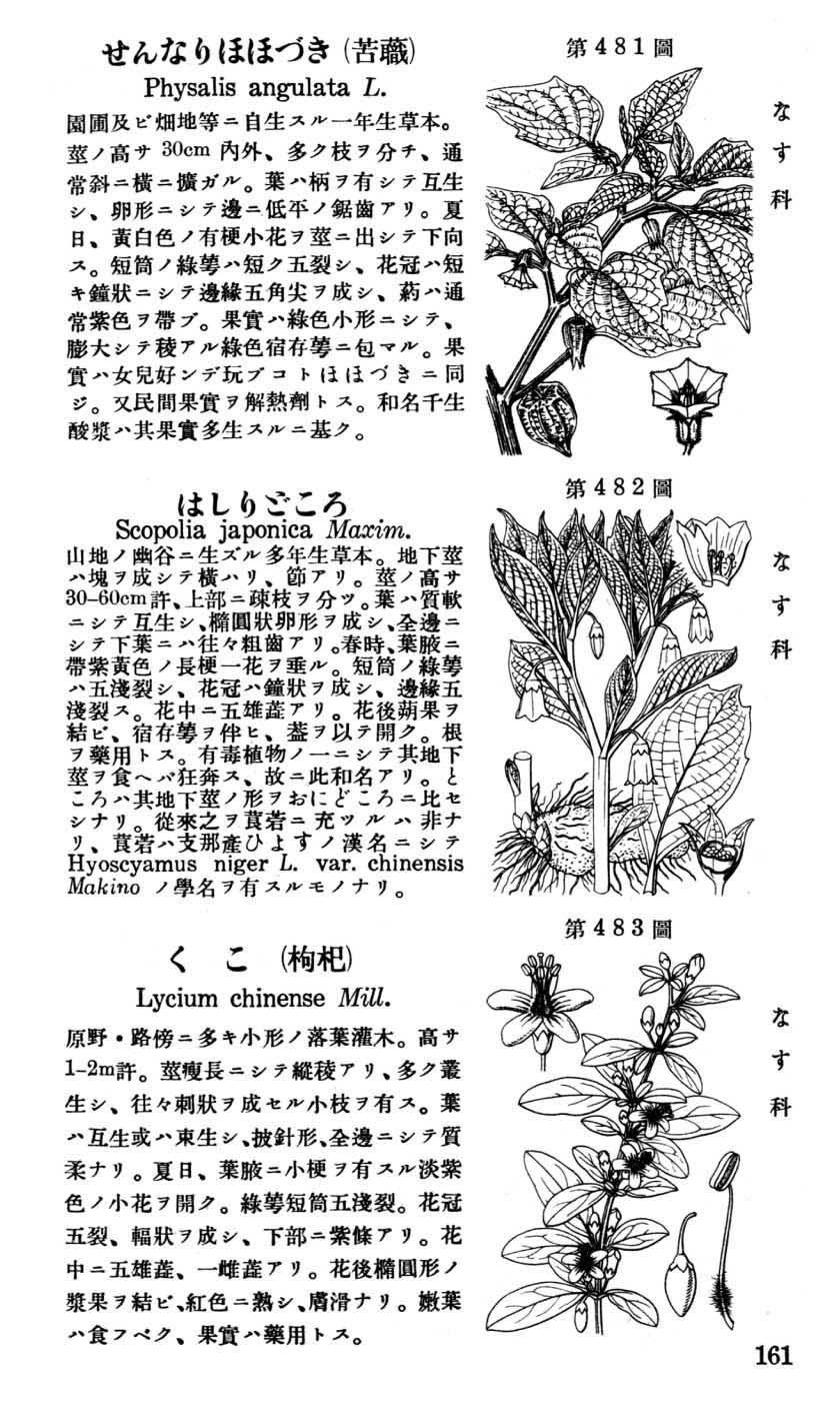 植物図鑑