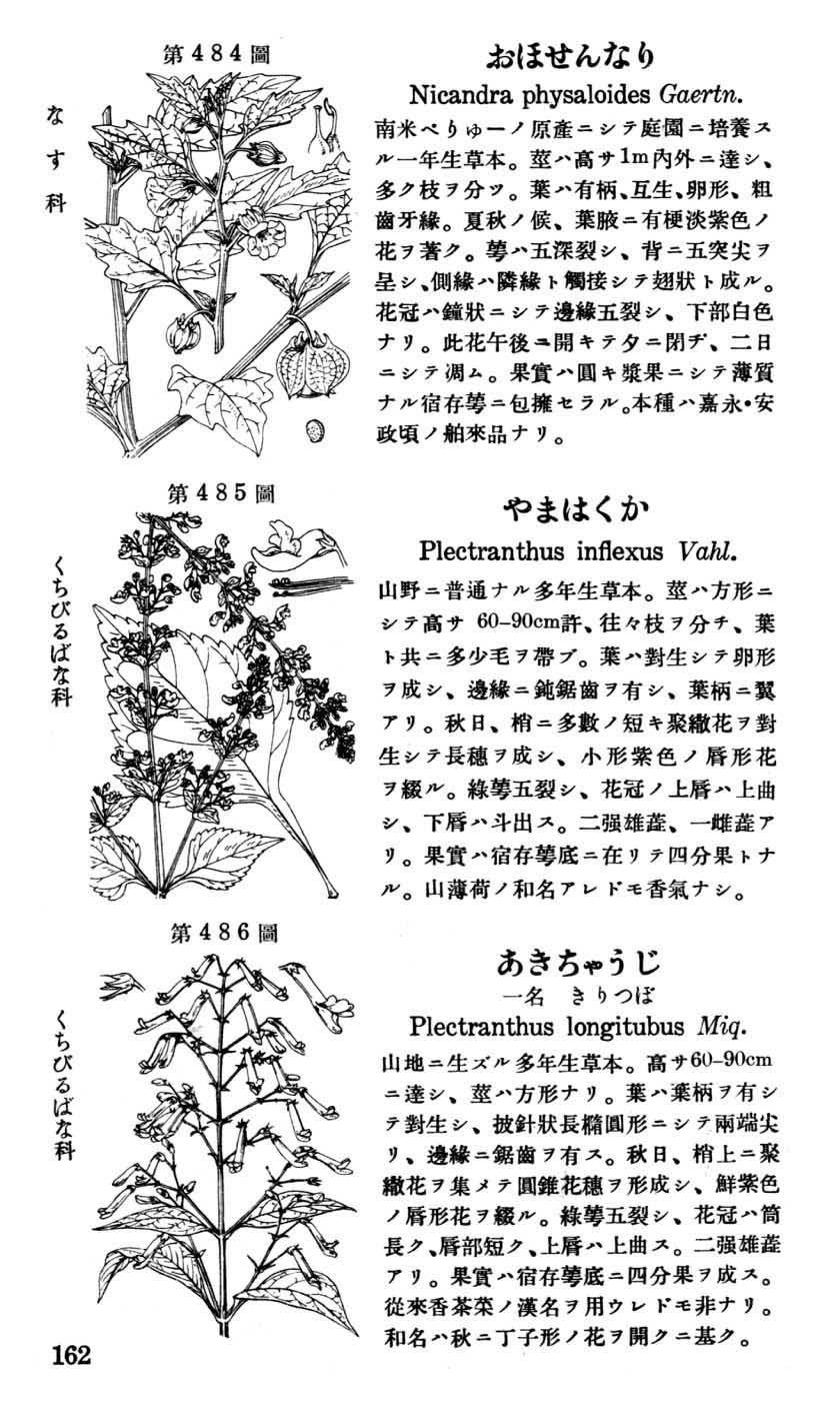 植物図鑑