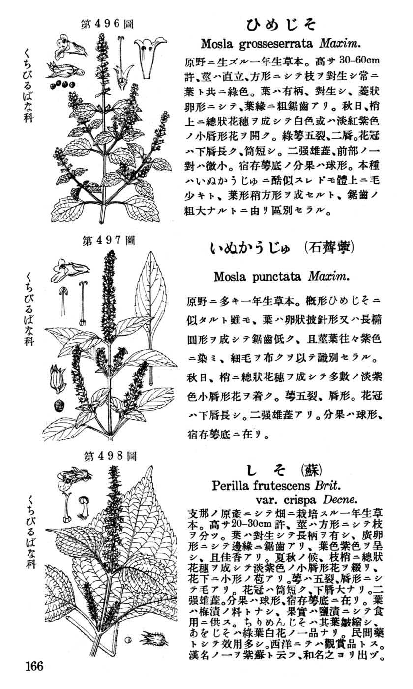 植物図鑑