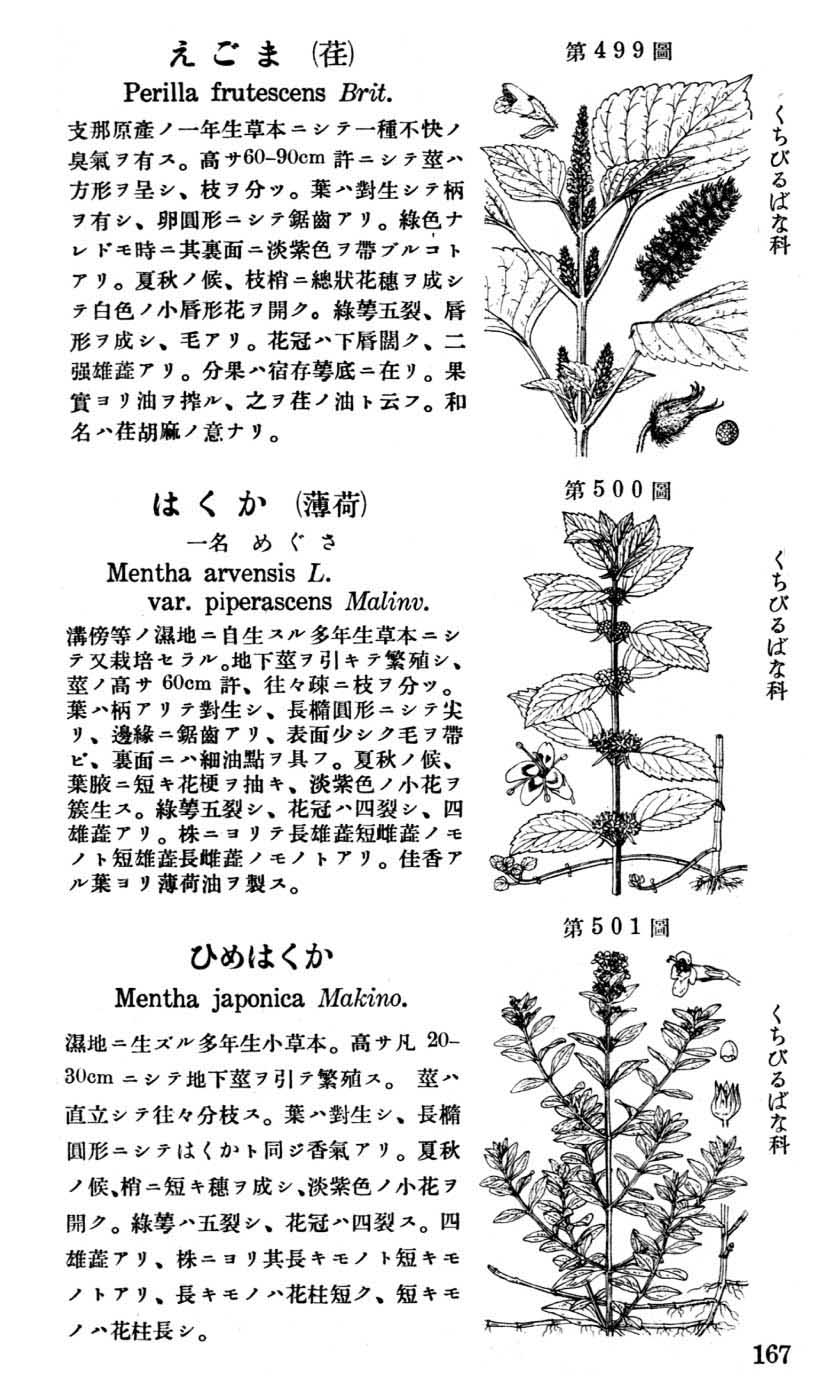 植物図鑑