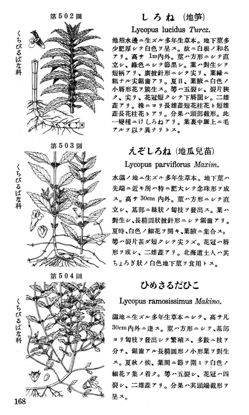 植物図鑑