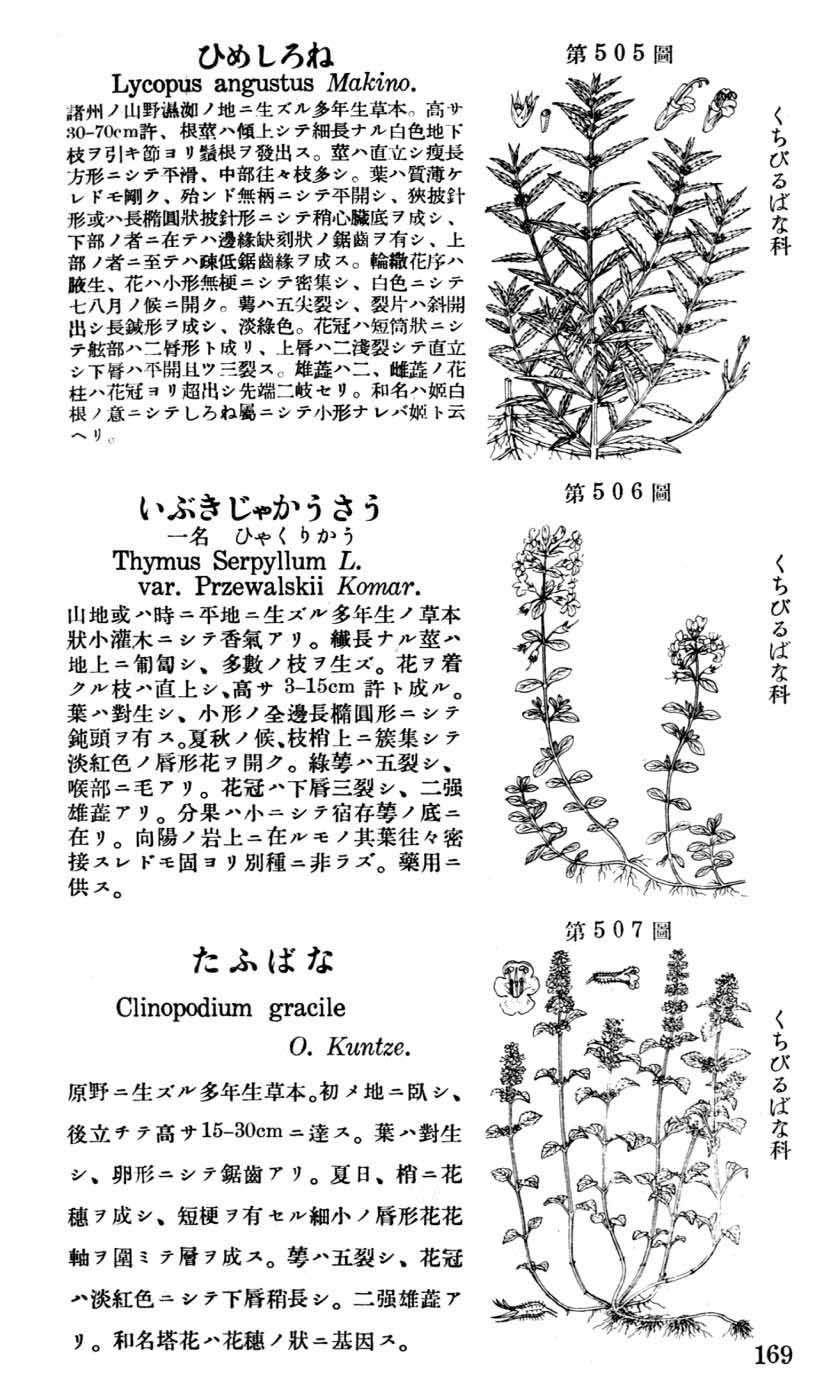 植物図鑑