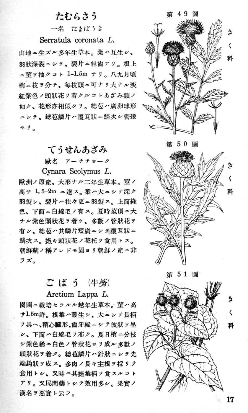 植物図鑑