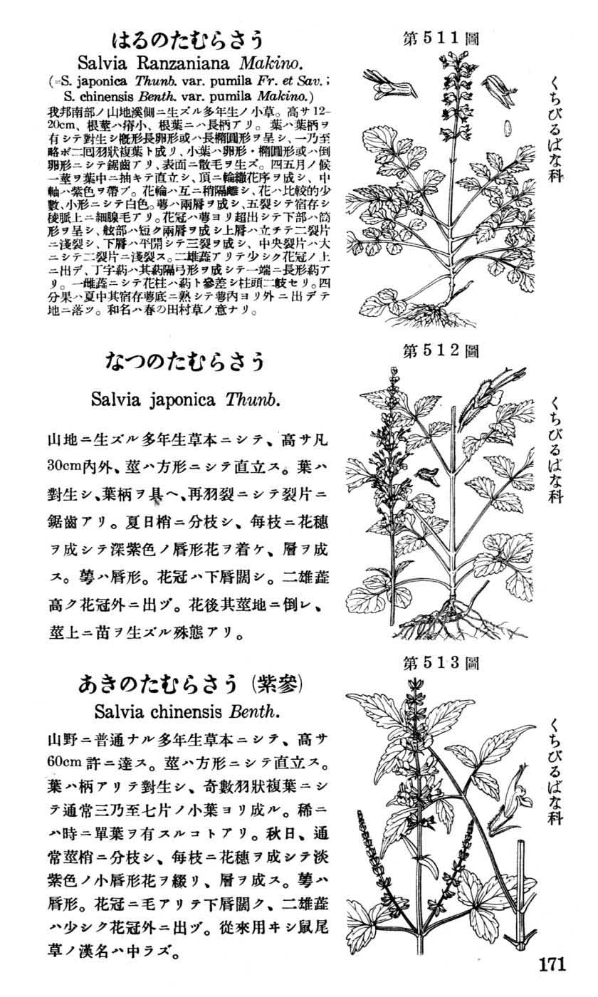 植物図鑑