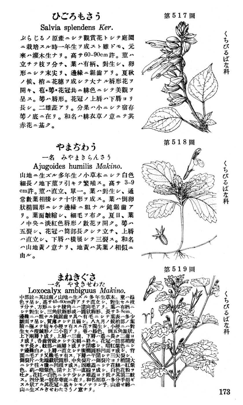 植物図鑑