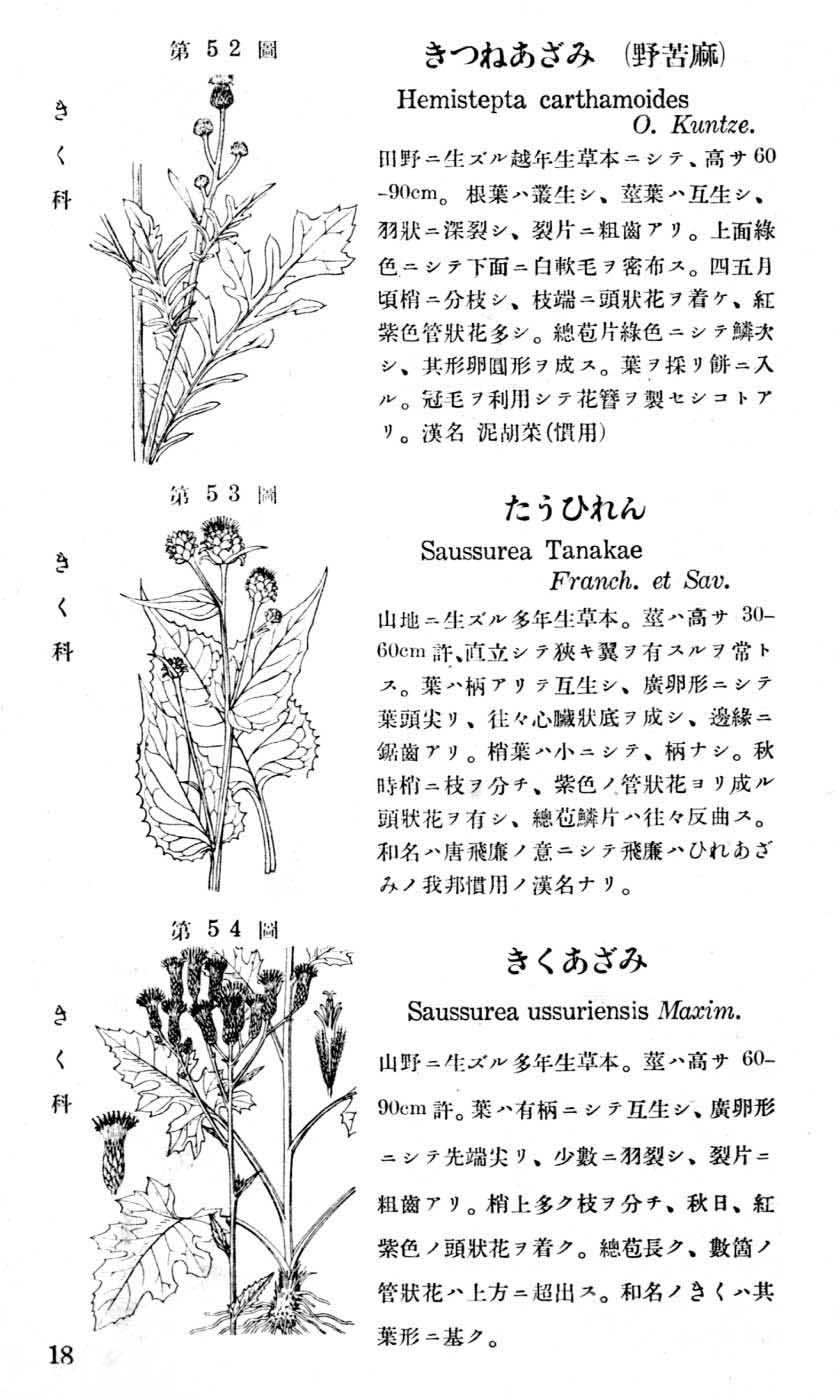 植物図鑑