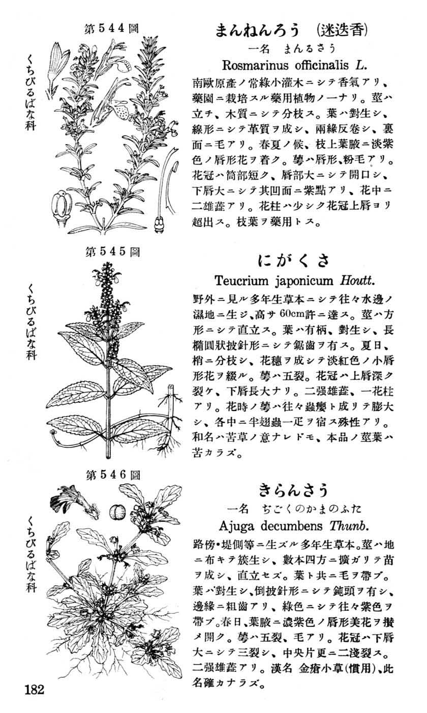 植物図鑑