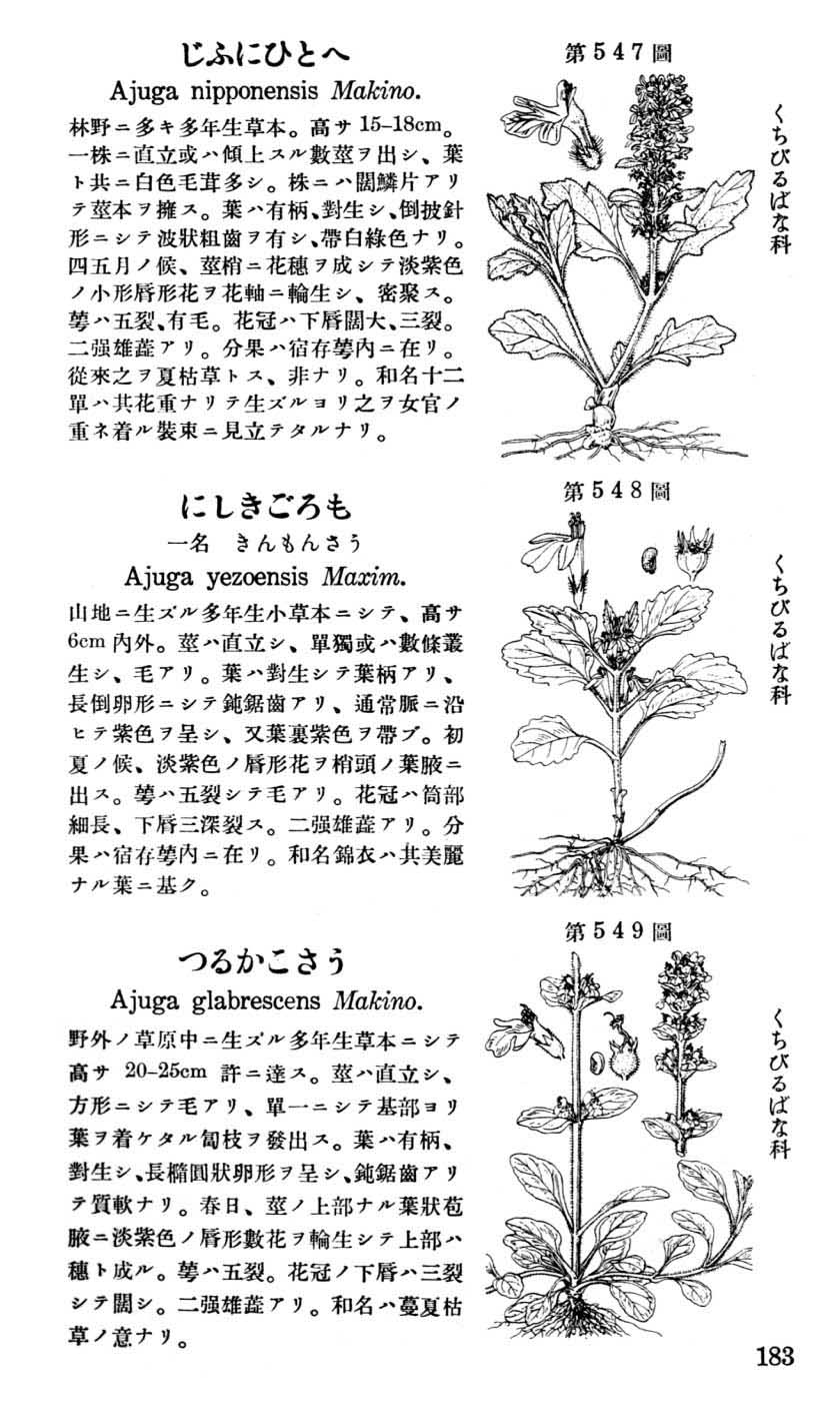 植物図鑑