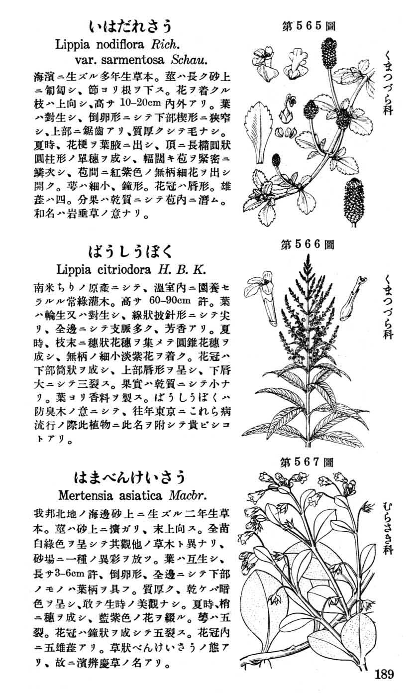 植物図鑑